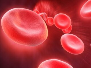 HematologyOncology 1