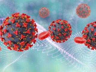 Infectious Diseases 1