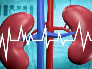 Nephrology 1